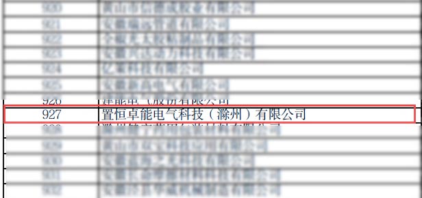 置恒卓能電氣科技(滁州)有限公司被認(rèn)定為2023年度安徽省“專精特新”企業(yè)